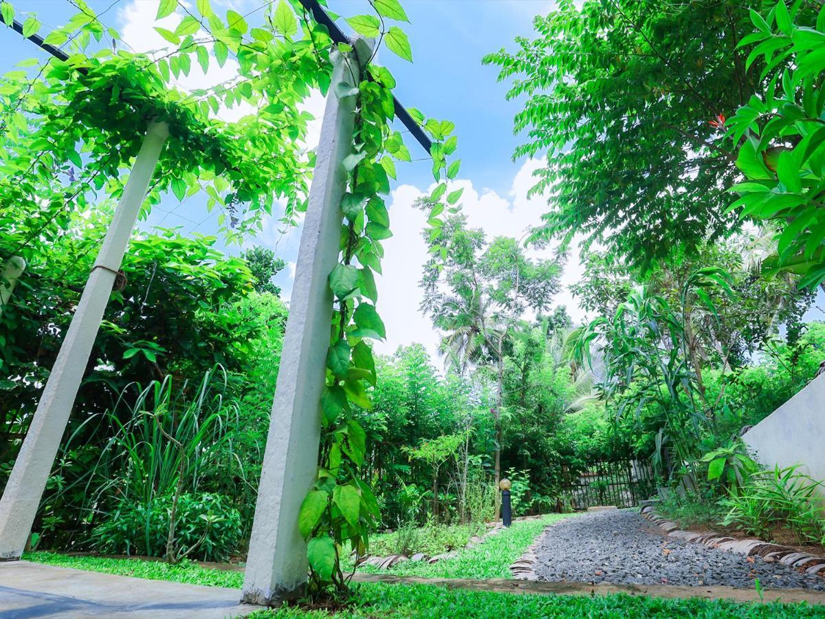 Terrace Garden Ayurveda Resort Weligama Exterior foto