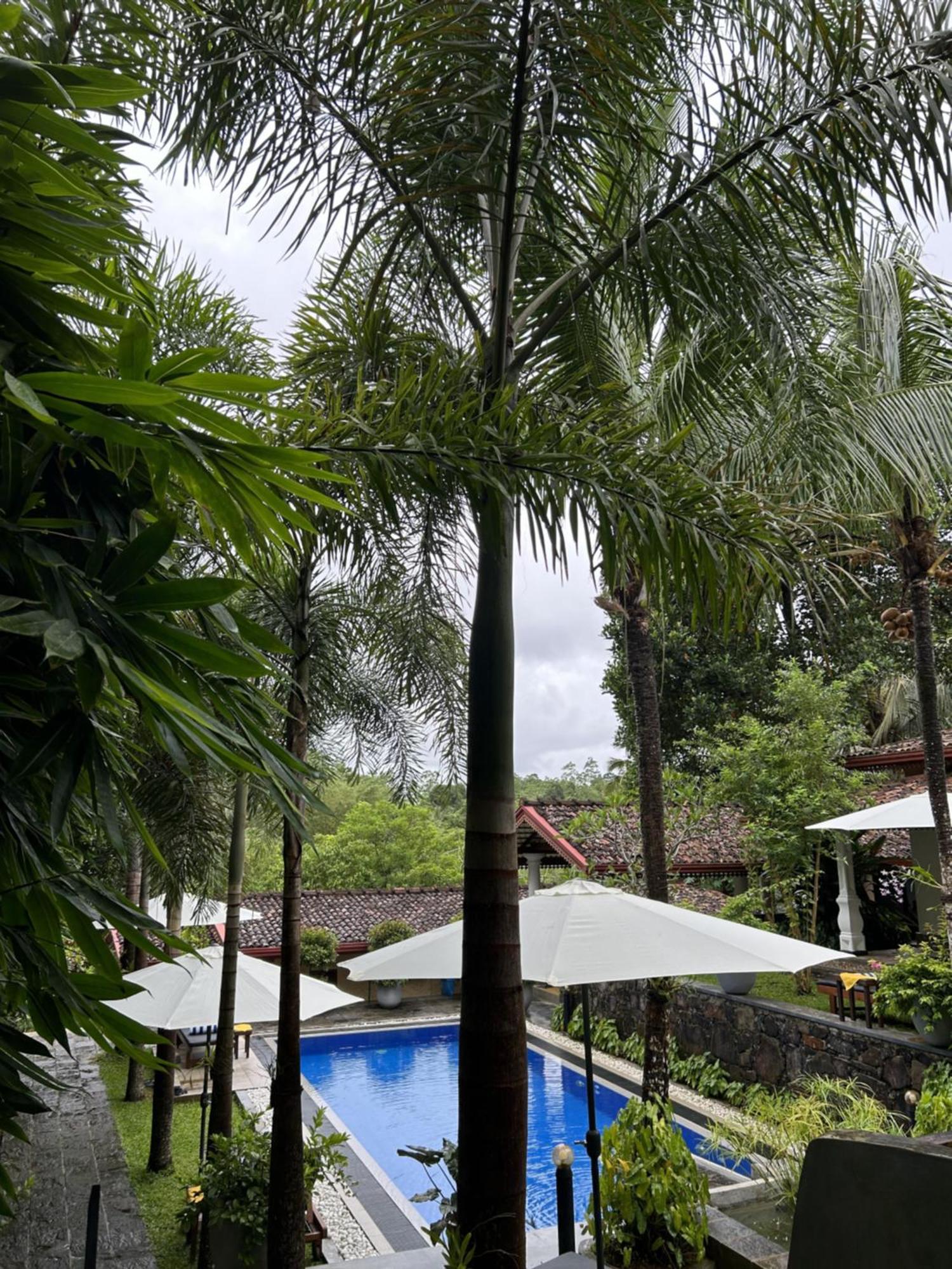 Terrace Garden Ayurveda Resort Weligama Exterior foto
